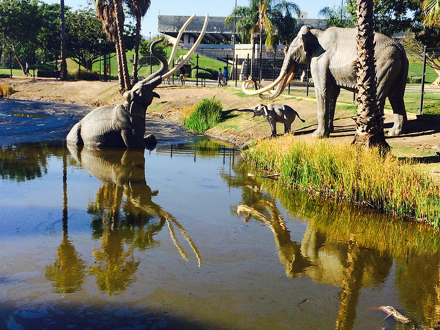 14872650599_8f4ac29497_z