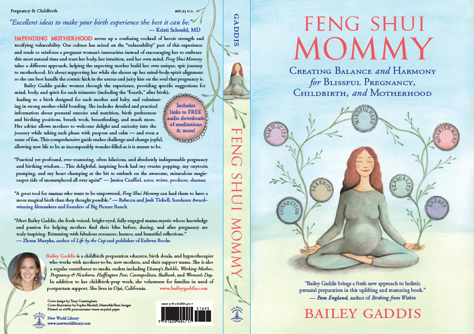 Feng Shui Mommy Cover