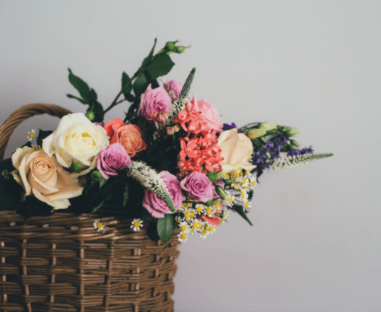 Screen Shot 2017-07-03 at 2.53.31 PM