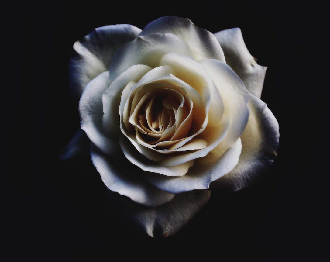 sebastian-molina-fotografia-101308